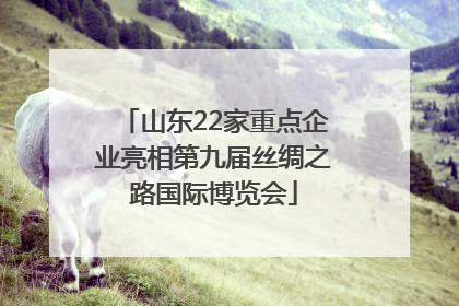 山东22家重点企业亮相第九届丝绸之路国际博览会