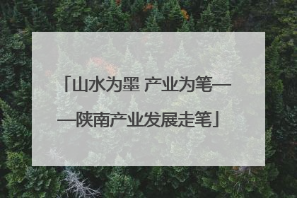 山水为墨 产业为笔——陕南产业发展走笔