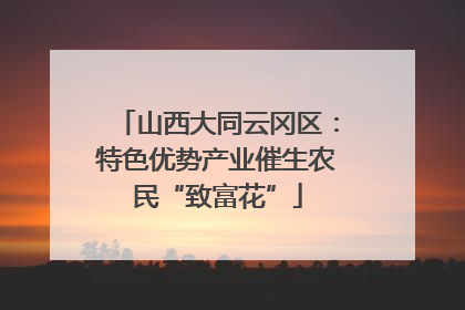 山西大同云冈区：特色优势产业催生农民“致富花”