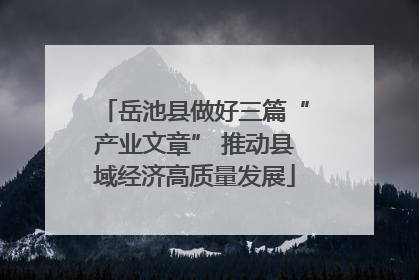 岳池县做好三篇“产业文章” 推动县域经济高质量发展