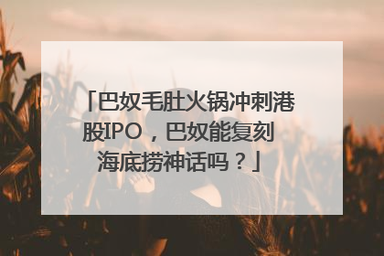 巴奴毛肚火锅冲刺港股IPO，巴奴能复刻海底捞神话吗？