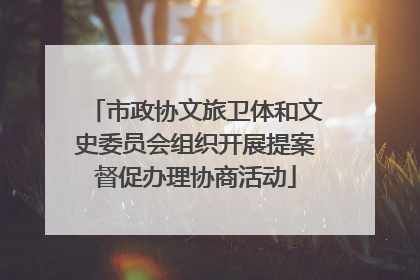市政协文旅卫体和文史委员会组织开展提案督促办理协商活动