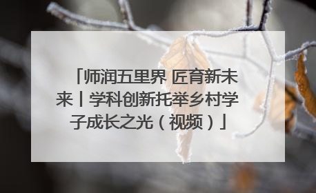 师润五里界 匠育新未来丨学科创新托举乡村学子成长之光（视频）