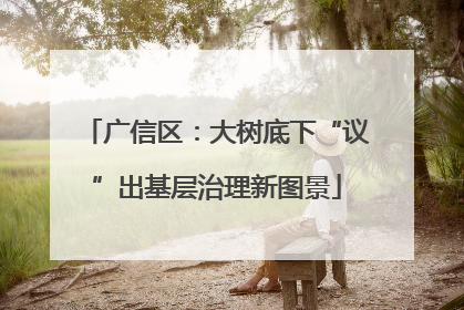广信区：大树底下“议”出基层治理新图景