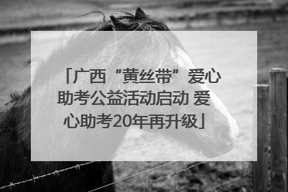 广西“黄丝带”爱心助考公益活动启动 爱心助考20年再升级