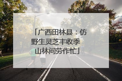 广西田林县：仿野生灵芝丰收季 山林间劳作忙