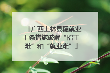 广西上林县稳就业十条措施破解“招工难”和“就业难”