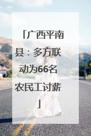 广西平南县：多方联动为66名农民工讨薪