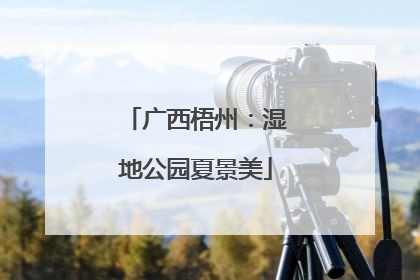 广西梧州：湿地公园夏景美