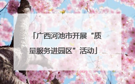 广西河池市开展“质量服务进园区”活动