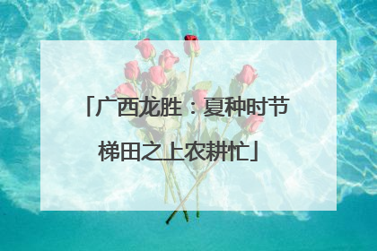 广西龙胜：夏种时节 梯田之上农耕忙