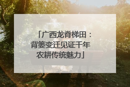 广西龙脊梯田：背篓变迁见证千年农耕传统魅力