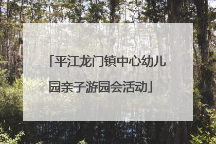 平江龙门镇中心幼儿园亲子游园会活动