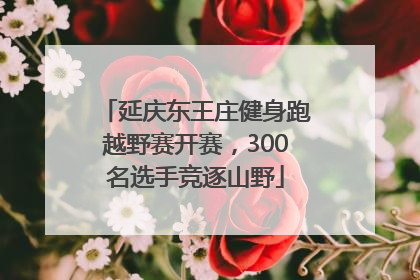 延庆东王庄健身跑越野赛开赛，300名选手竞逐山野