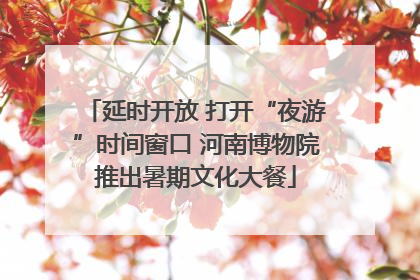 延时开放 打开“夜游”时间窗口 河南博物院推出暑期文化大餐