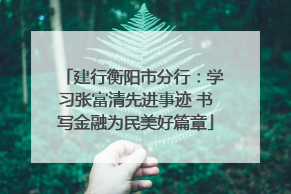 建行衡阳市分行：学习张富清先进事迹 书写金融为民美好篇章