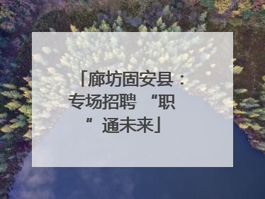 廊坊固安县：专场招聘 “职”通未来