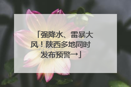 强降水、雷暴大风！陕西多地同时发布预警→