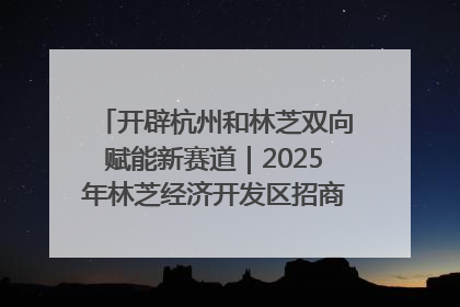开辟杭州和林芝双向赋能新赛道｜2025年林芝经济开发区招商引资（杭州）推介展销活动在杭举办