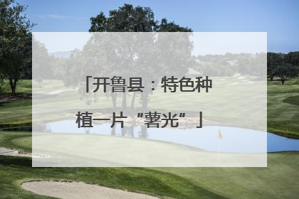 开鲁县：特色种植一片“薯光”