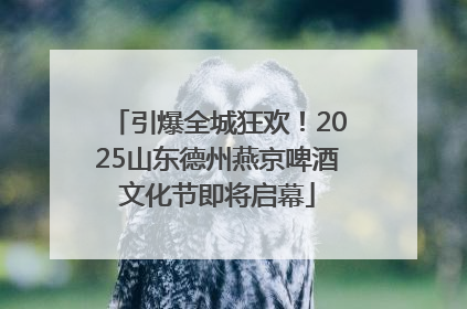 引爆全城狂欢！2025山东德州燕京啤酒文化节即将启幕