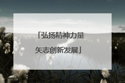 弘扬精神力量 矢志创新发展