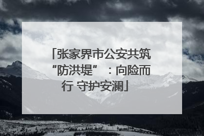 张家界市公安共筑“防洪堤”：向险而行 守护安澜