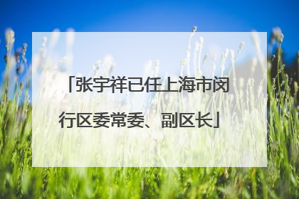 张宇祥已任上海市闵行区委常委、副区长