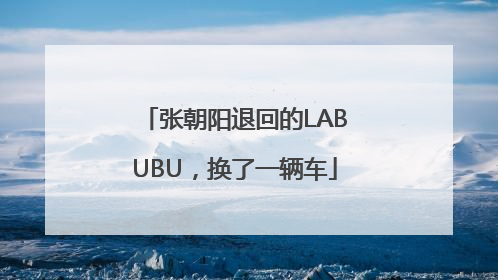 张朝阳退回的LABUBU，换了一辆车