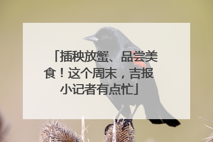 插秧放蟹、品尝美食！这个周末，吉报小记者有点忙