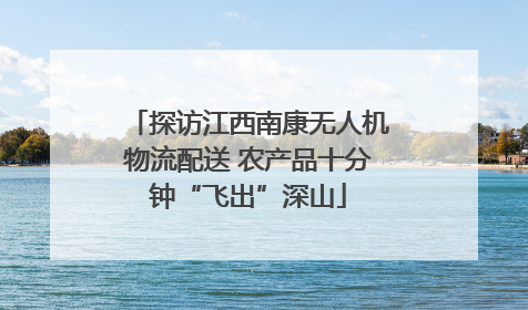 探访江西南康无人机物流配送 农产品十分钟“飞出”深山