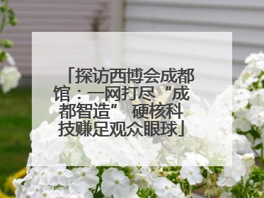 探访西博会成都馆：一网打尽“成都智造” 硬核科技赚足观众眼球