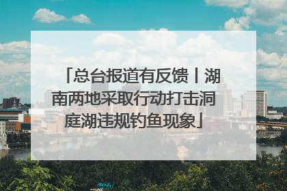 总台报道有反馈丨湖南两地采取行动打击洞庭湖违规钓鱼现象