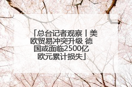 总台记者观察丨美欧贸易冲突升级 德国或面临2500亿欧元累计损失