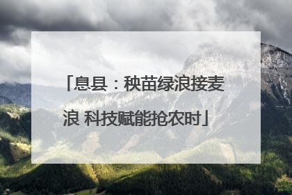 息县：秧苗绿浪接麦浪 科技赋能抢农时