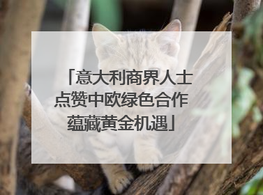 意大利商界人士点赞中欧绿色合作蕴藏黄金机遇