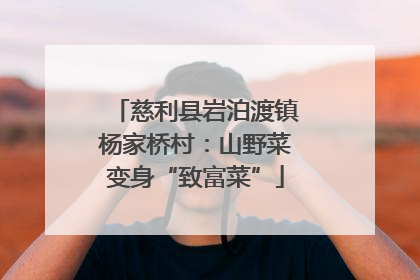 慈利县岩泊渡镇杨家桥村：山野菜变身“致富菜”