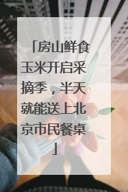 房山鲜食玉米开启采摘季，半天就能送上北京市民餐桌