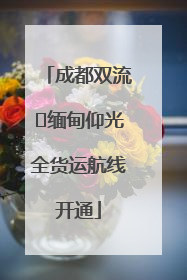 成都双流⇌缅甸仰光全货运航线开通
