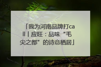 我为河南品牌打call丨应旺：品味“毛尖之都”的诗意栖居