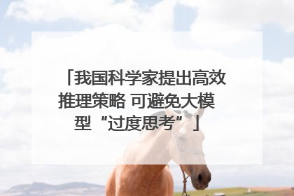 我国科学家提出高效推理策略 可避免大模型“过度思考”