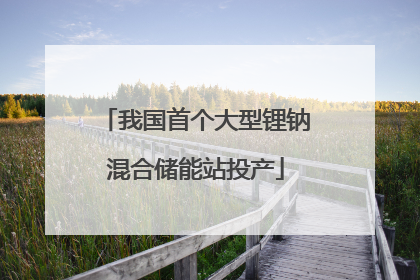 我国首个大型锂钠混合储能站投产