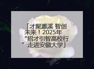 才聚濉溪 智创未来！2025年“招才引智高校行”走进安徽大学