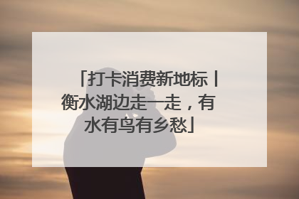 打卡消费新地标丨衡水湖边走一走，有水有鸟有乡愁