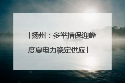 扬州：多举措保迎峰度夏电力稳定供应