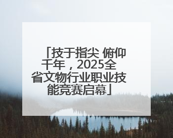 技于指尖 俯仰千年，2025全省文物行业职业技能竞赛启幕