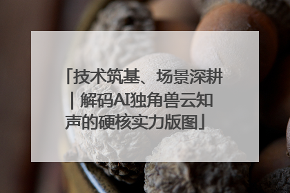 技术筑基、场景深耕｜解码AI独角兽云知声的硬核实力版图