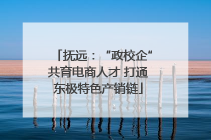 抚远：“政校企”共育电商人才 打通东极特色产销链