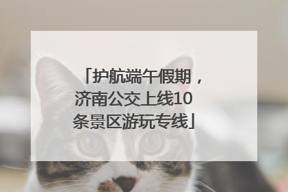 护航端午假期，济南公交上线10条景区游玩专线