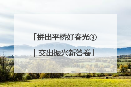 拼出平桥好春光③｜交出振兴新答卷